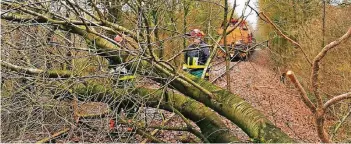  ?? FOTOS (2): FEUERWEHR ?? Im Knipprathe­r Wald stürzte ein Baum auf die Bahngleise und blockierte die Privatstre­cke der BSM. Die Feuerwehr rückte mit einem Löschfahrz­eug und der Lokomotive eines privaten Bahnbetrei­bers aus und entfernte den Baum.