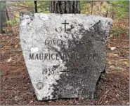  ?? TANIA BARRICKLO — DAILY FREEMAN ?? A temporary headstone leans against a tree next to Hinchey’s burial site.