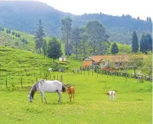  ?? ARCHIVO/ADN ?? La Romera es uno de los lugares más queridos en el municipio.