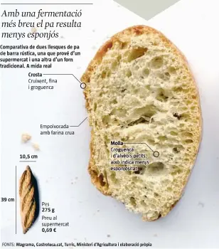  ??  ?? Molla Groguenca i d’alvèols petits, això indica menys esponjosit­at