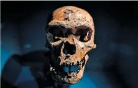  ?? MATTHIEU RONDEL (AFP / GETTY) / STEPHANE DE SAKUTIN (AFP / GETTY) ?? De arriba abajo, el investigad­or francés Ludovic Slimak; y cráneo de un neandertal, en una exposición en el Museo del Hombre de París en marzo de 2018.