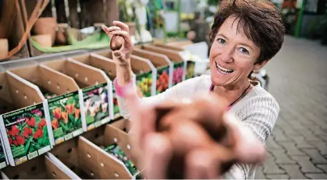  ?? RP-FOTO: RALPH MATZERATH ?? Angela Schumacher setzt auf gefüllt Tulpen. Die müssen jetzt als Zwiebeln gesetzt werden.