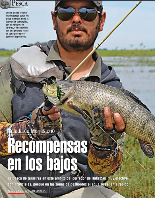  ??  ?? Con la laguna crecida, los desbordes serán los sitios a testear. Entre la vegetación sumergida, que da refugio a la tararira, y la superficie hay una pequeña franja de agua para operar señuelos específico­s.