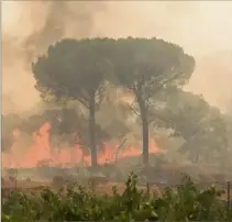  ?? (Photo Camille Daudet) ?? Dans la plaine des Maures, le plus important feu de France de 2021 a coûté la vie à deux personnes et entraîné l’évacuation d’environ 10 000 autres.