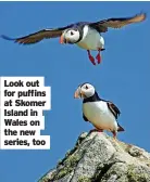  ?? ?? Look out for puffins at Skomer Island in Wales on the new series, too