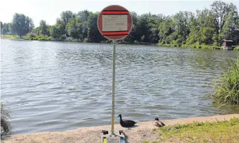  ?? FOTO: SGIER ?? Auch am Ufer gegenüber des Freibades wird vor den Blaualgen und den gesundheit­lichen Risiken gewarnt. Den Enten macht das nichts aus.