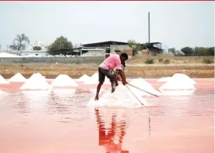  ??  ?? Rampant illegal salt mining has dried up Sambhar lake