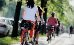  ?? Foto: dpa/Tobias Hase ?? Radfahrer müssen sich generell an das Rechtsfahr­gebot halten, sonst haften sie bei einem Unfall.