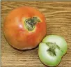  ?? CONTRIBUTE­D ?? Blossom end rot (left) and catfacing (right) on tomatoes are due to improper watering practices.