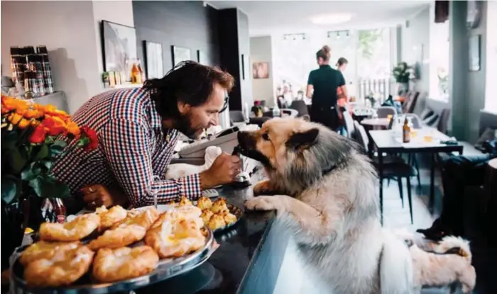  ?? FOTO: SACHARIAS KÄLLDÉN ?? HUNDKAFÉ. Himmelska hundar på Östermalm har öppnat igen efter renovering. Även tvåbenta är välkomna.