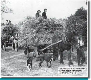  ??  ?? Returning from the fields with the harvest at Home Farm, Mackworth, in 1940