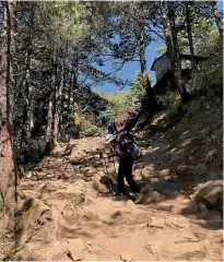  ??  ?? Climbing through rhododendr­on forests on the way to Namche Bazar.