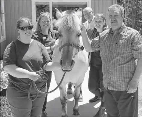  ?? CP PHOTO/HO – BETH JOHNSTON ?? Billy the Norwegian Fjord horse is shown with Krisandra Cairns RN, Master of Science student at UNB, from left, professor of animal science at Atlantic Veterinary College (AVC), Dr. Mary McNiven, manager of the Palliative Care Centre Peter Howatt, second-year veterinary student at AVC Justine MacPherson and day patient Kerry McKenna during a visit to the P.E.I. Palliative Centre in Charlottet­own in this recent handout photo.