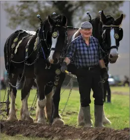  ?? Photos by Valerie O’Sullivan ?? Ploughing his own furrow: Colman Colgan from Sligo set his own goal of ploughing a field in every county in Ireland. After Kerry, Coleman has only one more field to plough, in County Cork. The journey has taken him three years. He competed in the Killarney Ploughing Associatio­n points competitio­n,on the grounds of Coffey’s Farm, Fossa, Killarney, on Sunday.