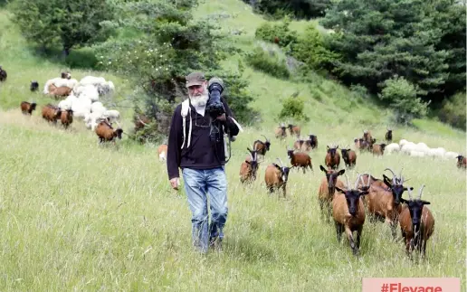  ?? (Photo Franz Chavaroche) ?? Claude Bietry sort chaque jour avec son troupeau, son chien et son appareil photo.
