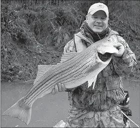  ?? Arkansas Democrat-Gazette/BRYAN HENDRICKS ?? Chris Larson of Roland caught this 17-pound striped bass while fishing with the author Friday on the Ouachita River above Lake Ouachita.