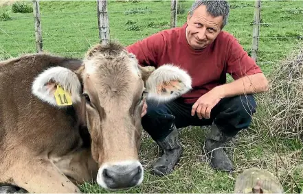  ??  ?? A smaller herd means Edo and Anita Mooij can give their cows better attention.