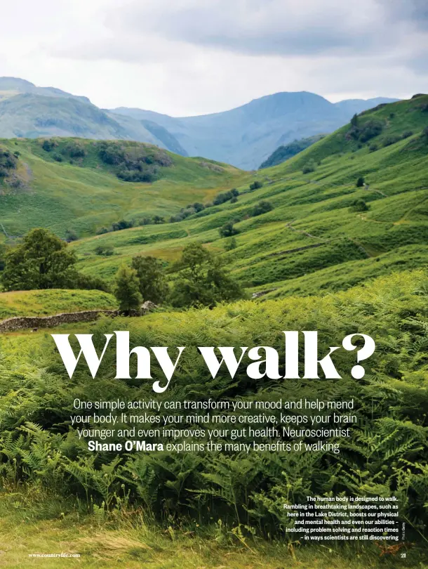  ??  ?? The human body is designed to walk. Rambling in breathtaki­ng landscapes, such as here in the Lake District, boosts our physical and mental health and even our abilities – including problem solving and reaction times – in ways scientists are still discoverin­g