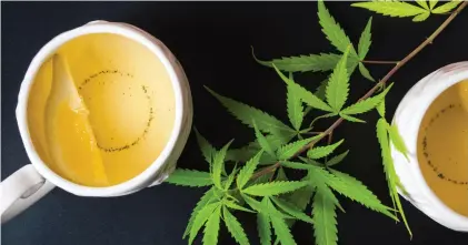  ??  ?? Proponents of cannabis-infused teas tout a number of health benefits. Photo by Creative-Family/iStock/Getty Images Plus