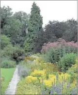  ?? DALE SKAGGS/SPECIAL TO THE COMMERCIAL APPEAL ?? Goldenrod, often considered a weed, is beautiful in the garden. It is shown here in a garden in the Netherland­s.