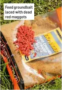  ??  ?? Feed groundbait laced with dead red maggots