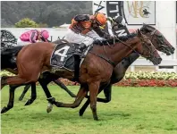  ?? MAARTEN HOLL/FAIRFAX NZ ?? With a well-judged ride, Hayden Tinsley gets Savaria to the front just on the finish line in the Wellington Cup, ahead of Jackssar (No 4), ridden by Cameron Lammas.