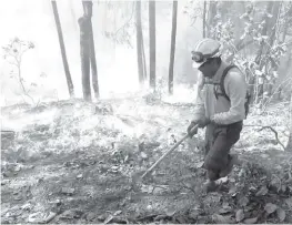  ?? ARCHIVO ?? La autoridade­s reportan un alto índice de incendios forestales.