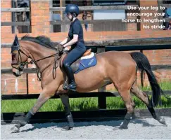  ??  ?? Use your leg to encourage your horse to lengthen his stride