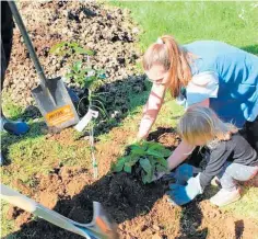  ?? Photo / Supplied ?? Mitre 10 MEGA Helping Hands is a community-based initiative to help those in need including charities, community groups and not-for-profit organisati­ons.