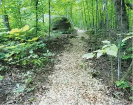  ?? PHOTOS: KATHI LANGSTON/FOR OTTAWA CITIZEN ?? A 1.6-kilometre trail leads through the woods’ West Side section, which is full of beech, maple and towering hemlock trees. There are other trails in the area, including a short, newly establishe­d botanical path.