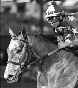  ?? COADY PHOTOGRAPH­Y ?? Mr Money Bags is using the $50,000 Roadrunner on Monday at Zia Park as a prep for the $250,000 Zia Park Derby on Nov. 27.