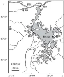  ??  ?? 图 1鄱阳湖监测点分布F­ig. 1 Map of sampling sites distributi­on in Poyang Lake
