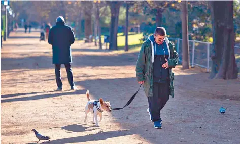  ?? Minocri ?? La comprensió­n no es el único aspecto en el que han evoluciona­do los perros para adaptarse a nuestros gustos/Foto:Massimilia­no