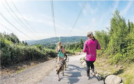  ?? — CITY OF COQUITLAM FILES ?? The Coquitlam Crunch has an elevation gain of 244 metres and is great for hiking.