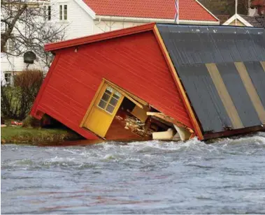  ?? FOTO: KJARTAN BJELLAND ?? Å ta vare på artsmangfo­ldet er visst ikke en blå-blå prioritet, skriver innsendere­n.