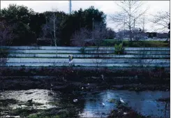  ??  ?? A person walks along the trail that runs through Guadalupe River Park. San Jose officials are starting a program to clean the site and assist those who live there.