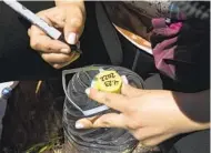  ?? ?? Armida Gomez writes the date on a bottle of water so travelers will know if it is fresh when they come upon it.