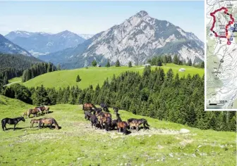  ?? BILD: SN/HEUGL ?? Der Weg zur Rettenegg-Hütte mit Blick auf den Rinnkogel.