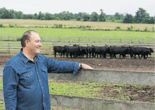  ?? J. P. MOCZULSKI / FOR THE NATIONAL POST ?? Third-generation cattleman Rob Hasson helped Shane Baghai turn an inventory of five cattle into five farms and 3,000 head, and earn Baghai the title of Best Aberdeen Angus breeder in North America.