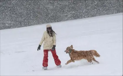  ??  ?? Silvia Craig, of Oakland, snowboards with Tucker, her 9-month-old golden retriever, on Friday in Schenley Park.