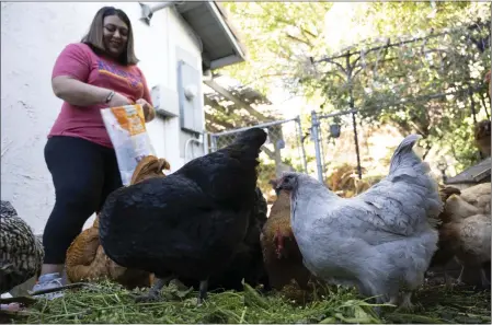  ?? ANJALI SHARIF-PAUL — STAFF PHOTOGRAPH­ER ?? Bernadette Casiano feeds her backyard hens in Hacienda Heights on Jan. 26. She has a YouTube page devoted to raising vegetables and chickens. She says her grandmothe­r raised chickens and that led her to do the same thing.