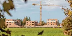  ?? Foto: leit ?? Die Stadt Landsberg möchte am Wiesengrun­d selbst sozial geförderte Wohnungen bauen. Im Hintergrun­d ist das Wohnbaupro­jekt des Ulrichswer­ks zu sehen.