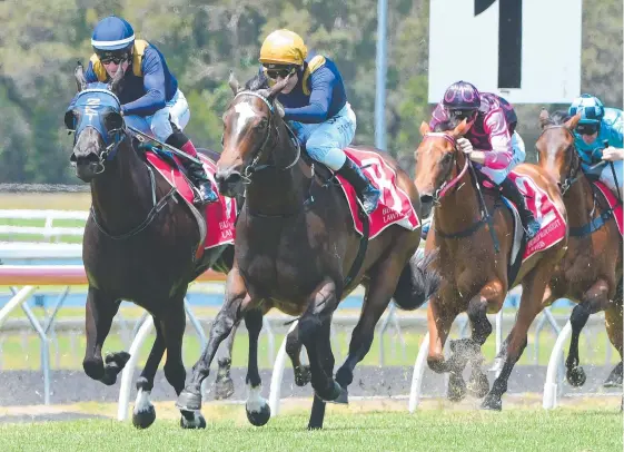  ?? Picture: AAP IMAGE/TRACKSIDE PHOTOGRAPH­Y ?? Champagne Jet (second from left) beats fellow 2K Thoroughbr­eds horse Betaima (left) at the Sunshine Coast,