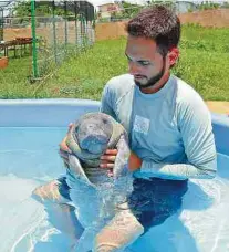  ?? ADN ?? En Puerto Rico hay un centro de conservaci­ón de la especie.