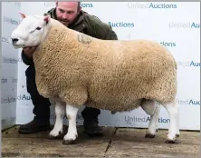  ?? Ref:RH03102228­4 ?? ATTONBURN BLIZZARD sold for £8000