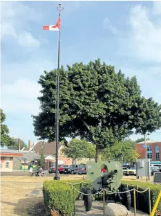  ?? KARENA WALTER/POSTMEDIA NETWORK ?? A flag pole stands in King George Memorial Park in Port Colborne.