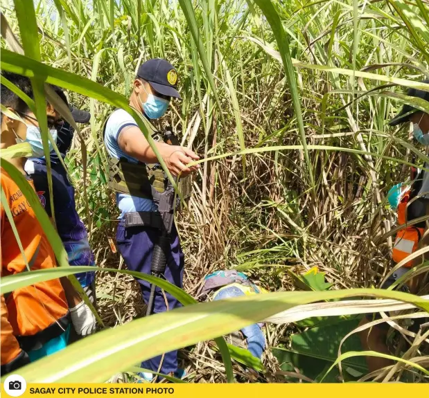  ?? SAGAY CITY POLICE STATION PHOTO ?? THE HEADLESS body of Gelly Reocodo, 58 was left inside a sugarcane plantation at Barangay Maquiling in Sagay City, Negros Occidental, while her severe head was found on top of a cross at a tomb at a nearby public cemetery where the suspect and her neighbor Randy Maniego had placed it after he kills her on Saturday, November 27.