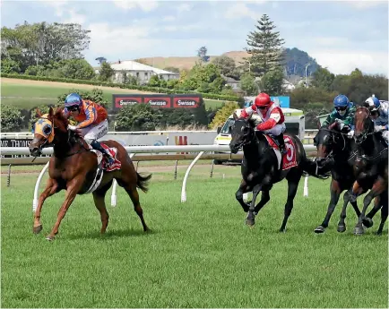  ?? TRISH DUNELL ?? Gingernuts tastes success at long odds in the Avondale Guineas run at Ellerslie.