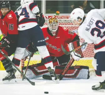  ?? TROY FLEECE/ FILES ?? Prince George Cougars goaltender Taylor Gauthier is the only player on Team Canada's roster for the upcoming world junior championsh­ip who has not been drafted by an NHL team.