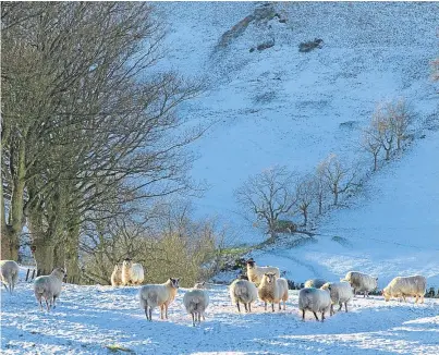  ?? Picture: Ron Stephen. ?? Hill farmers and crofters should receive all of their LFASS payments in 2018.